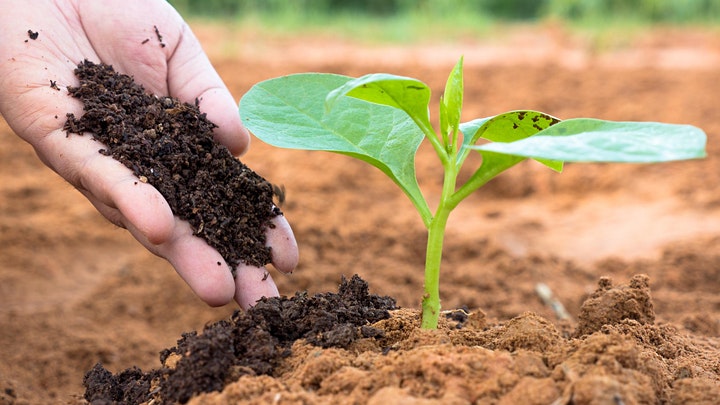 Permaculture Perspective: A recap of our latest workshop by the talented writer, Allison Young