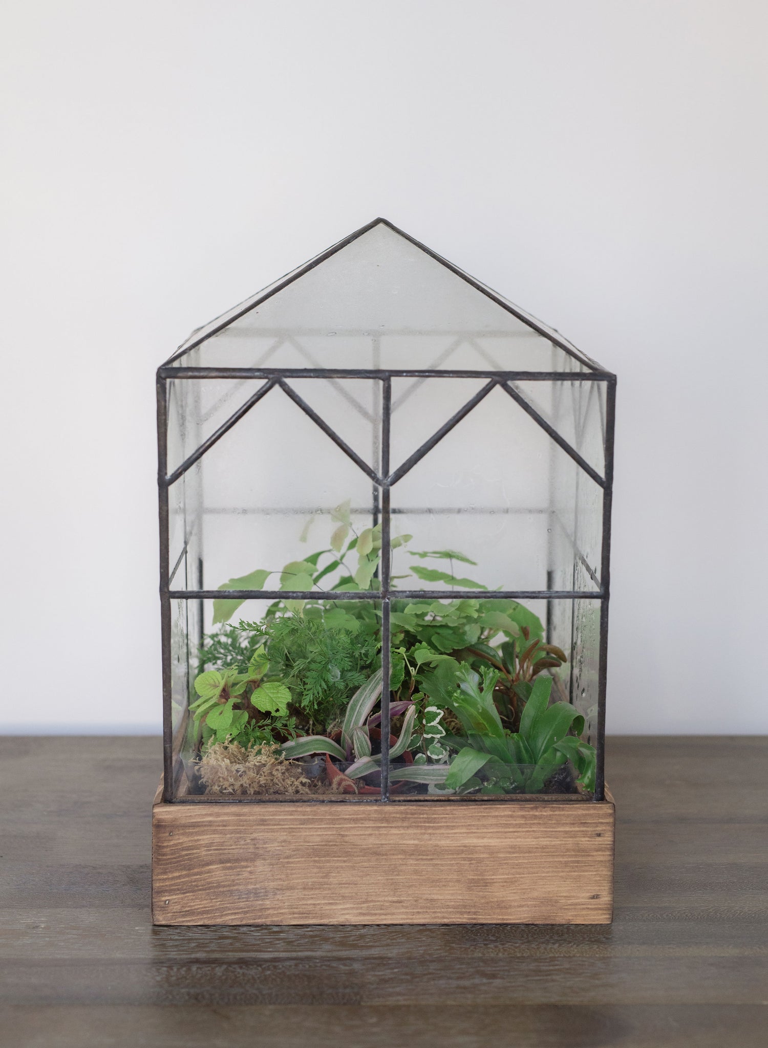 Terrarium en verre Botanic Factory H19cm - My Kozy Shop